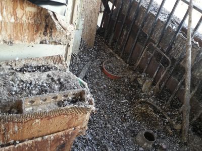 Miért veszélyes a galambürülék? Miért veszélyes a galambürülék?