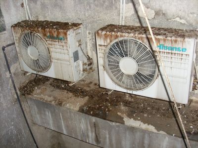 Fertőtlenítés Fertőtlenítés